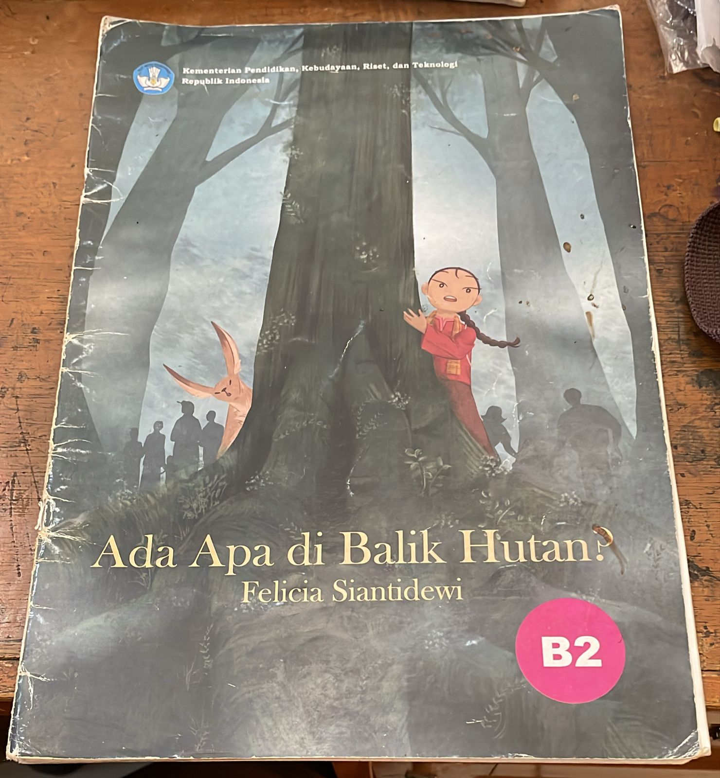 Sampul Ada Apa Di Balik Hutan ?