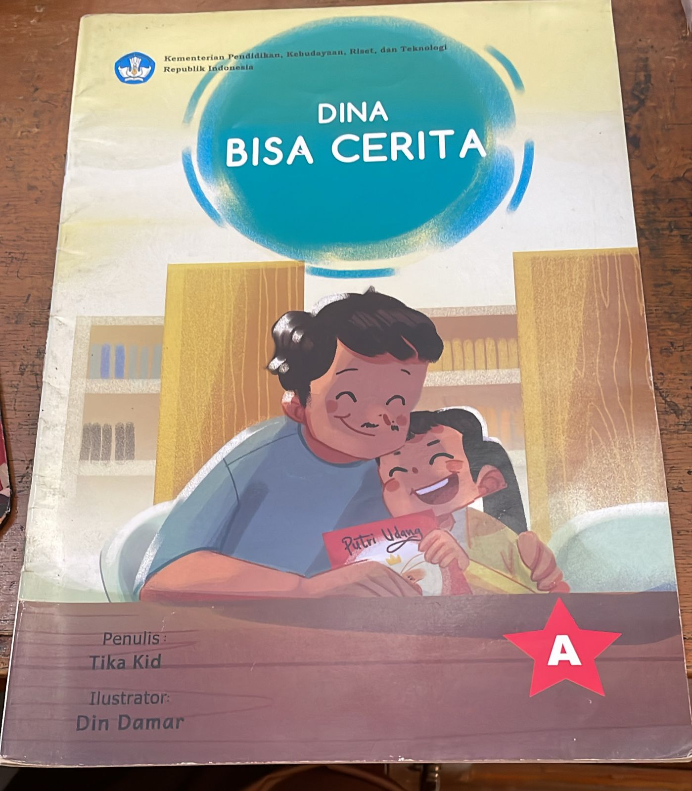 Sampul Dina Bisa Cerita
