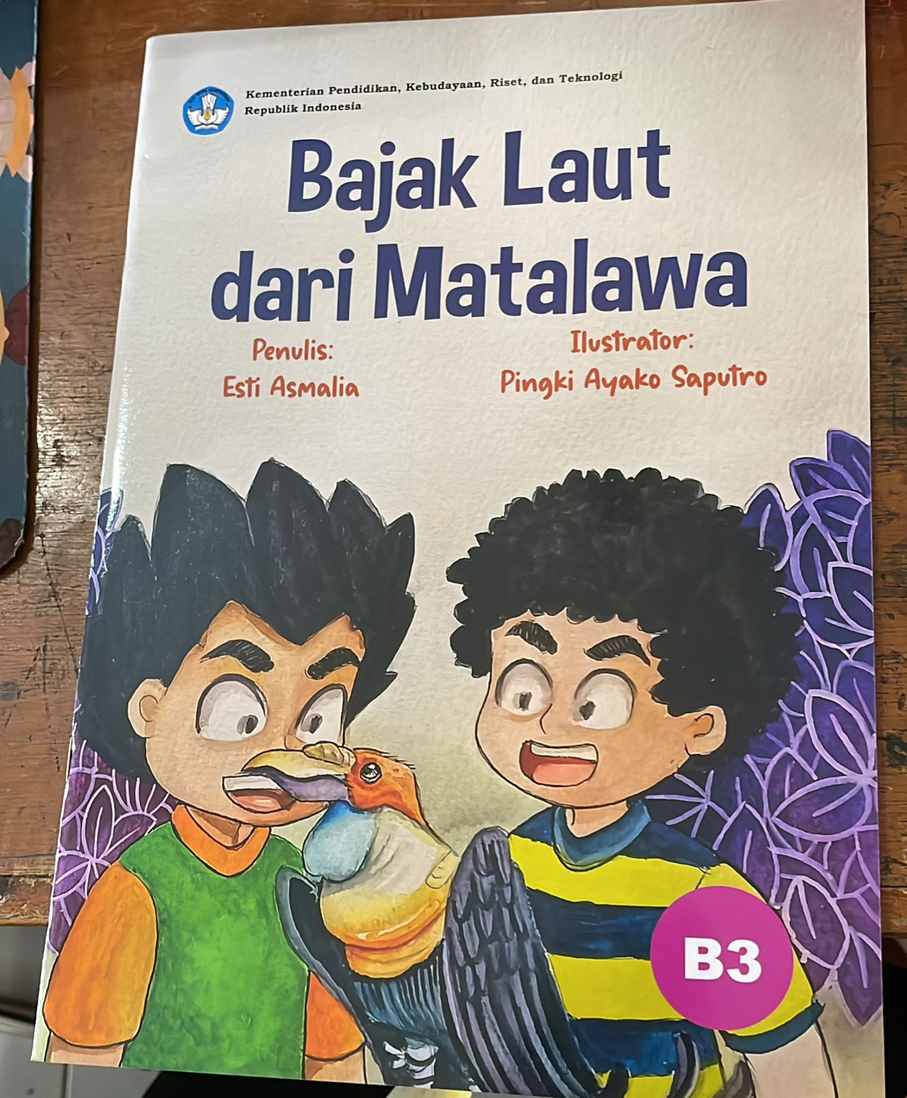 Sampul Bajak Laut dari Matalawa