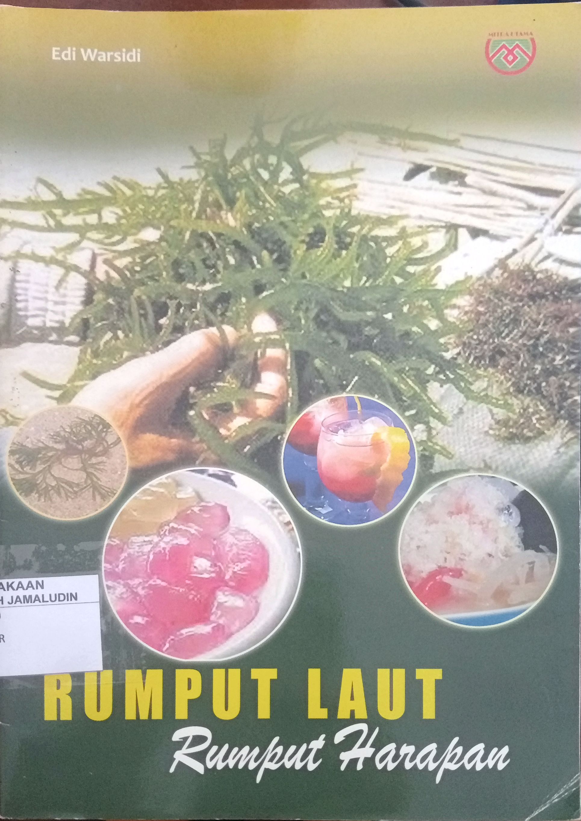Sampul Rumput Laut Rumput Harapan