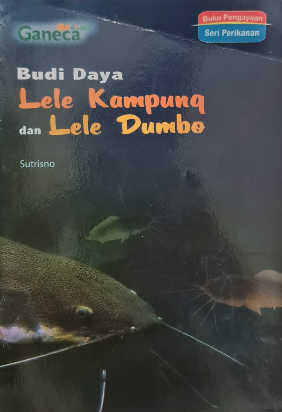 Sampul BUDI DAYA LELE KAMPUNG DAN LELE DUMBO