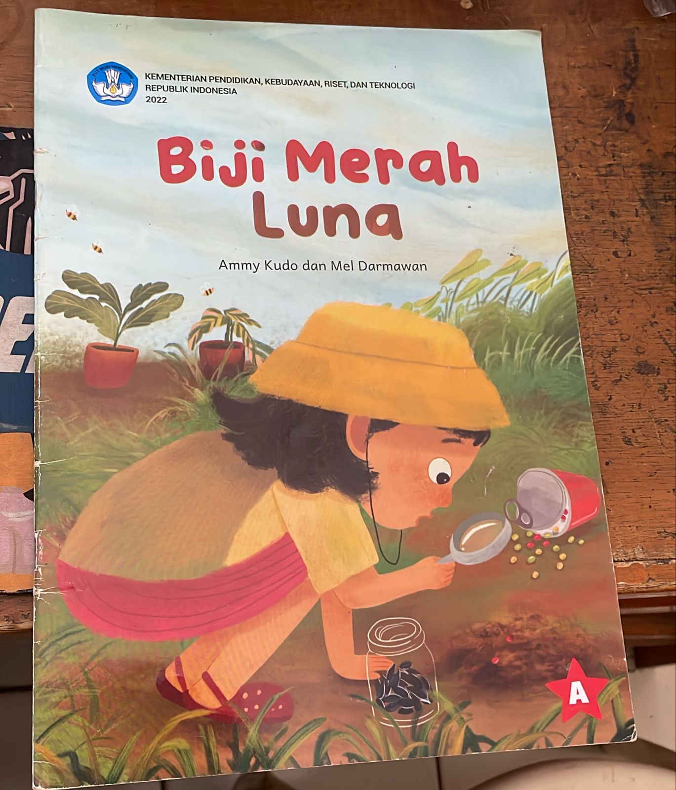 Sampul Biji Merah Luna