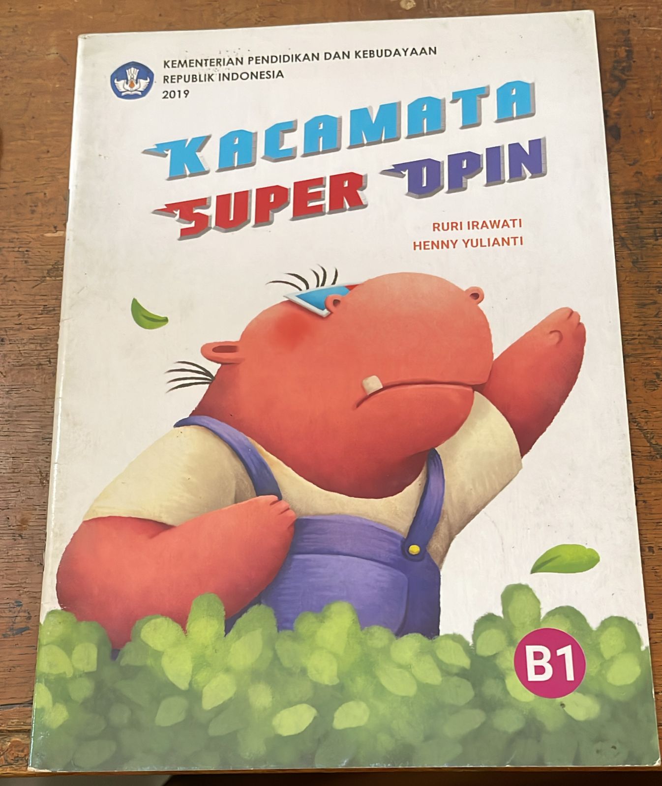 Sampul Kacamata Super Opin