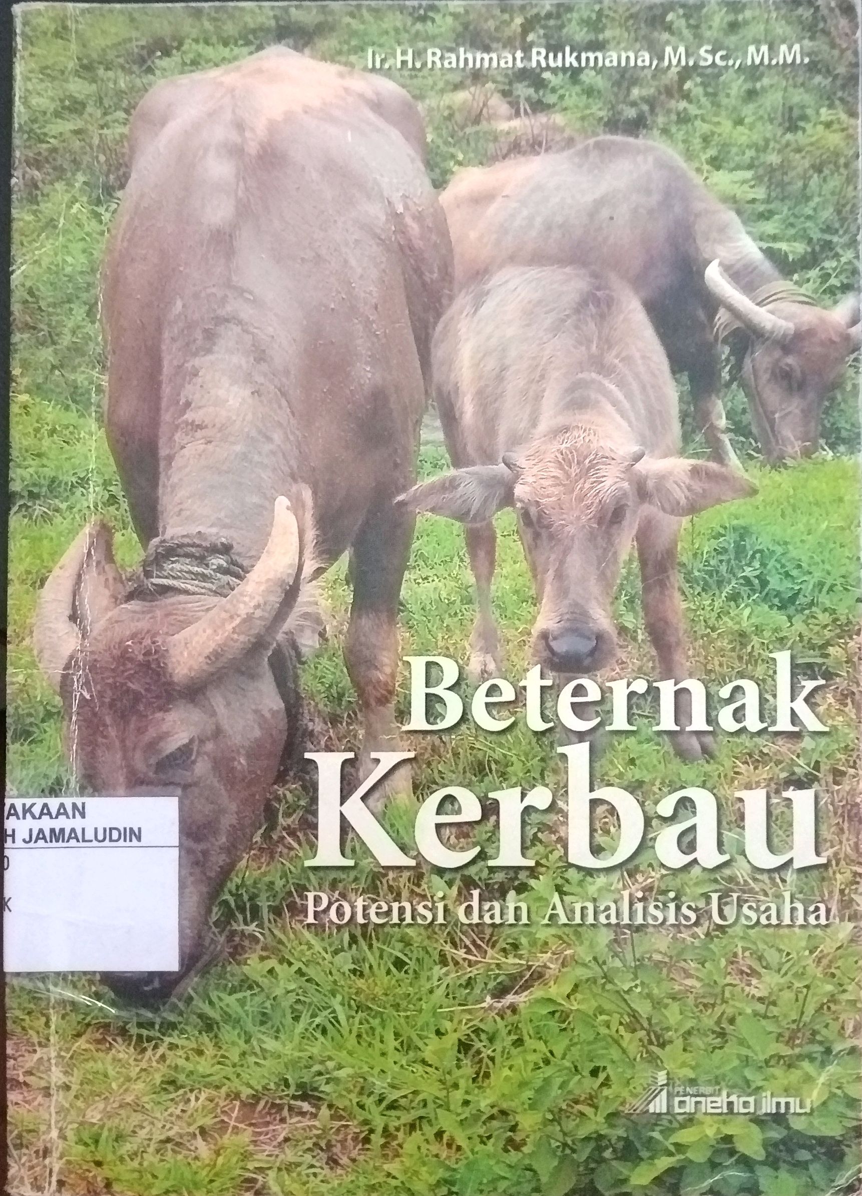 Sampul Beternak Kerbau : potensi dan analisis usaha