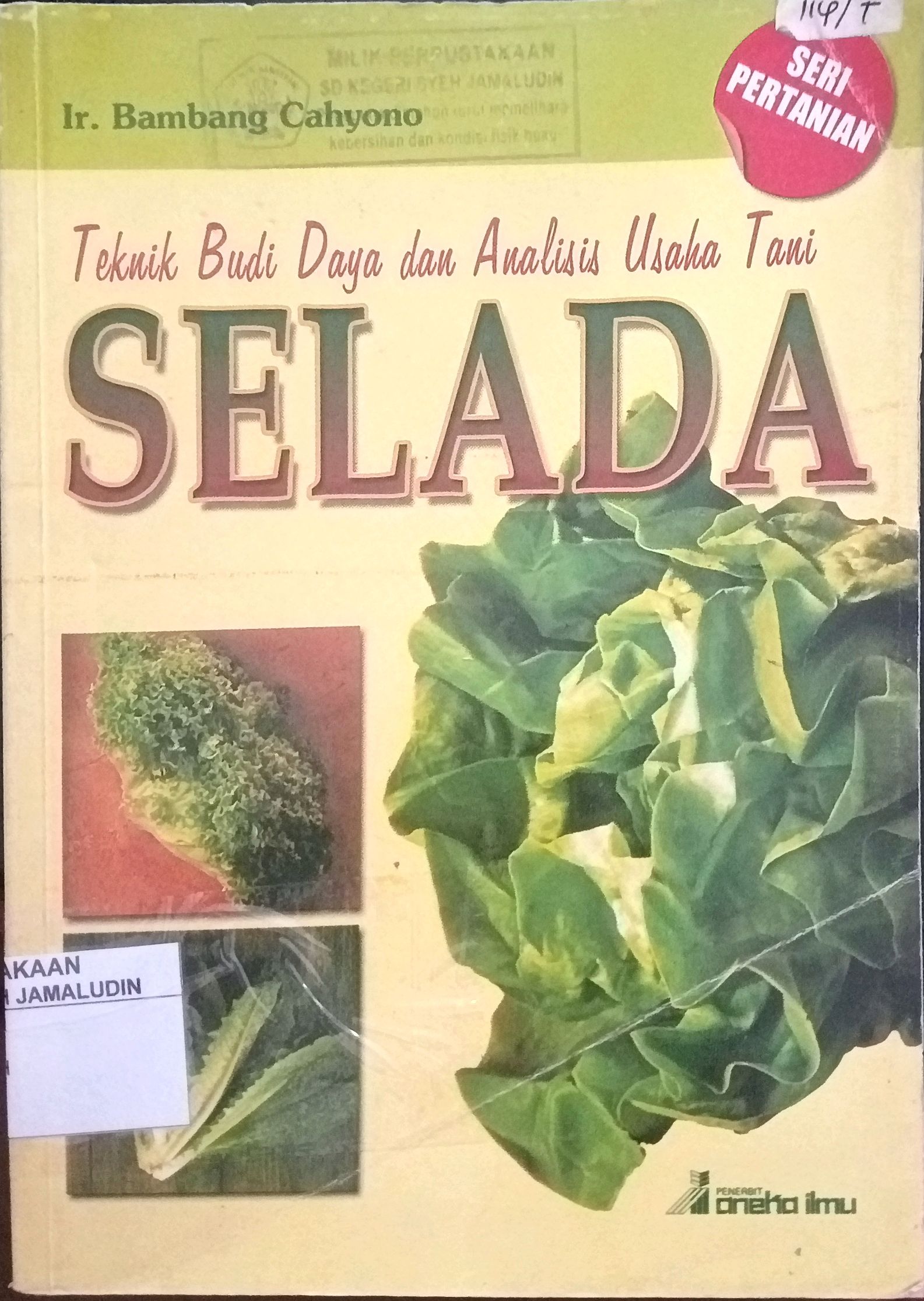Sampul Seri Pertanian : Teknik Budi Daya dan Analisis Usaha Tani SELADA