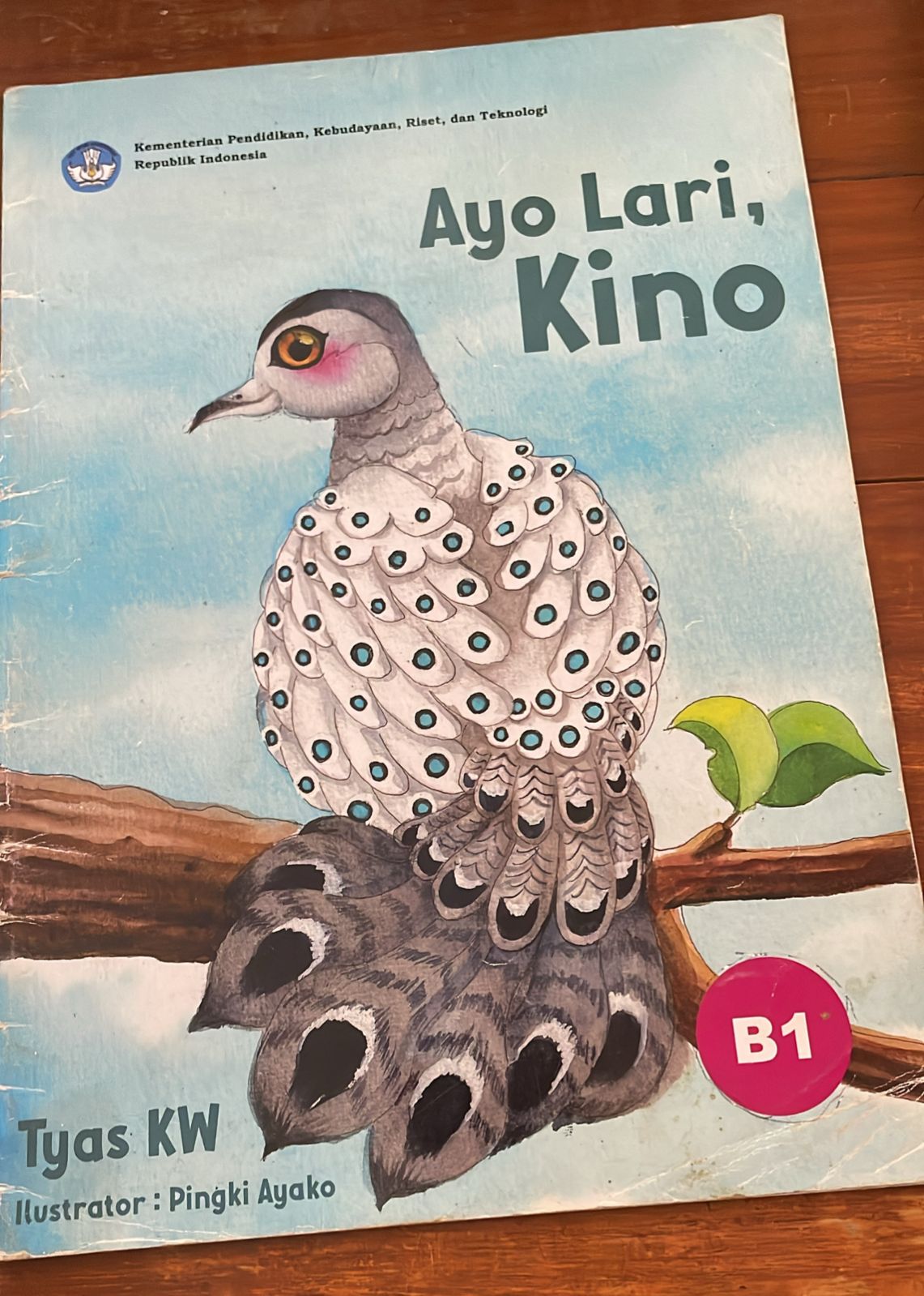 Sampul Ayo Lari, Kino