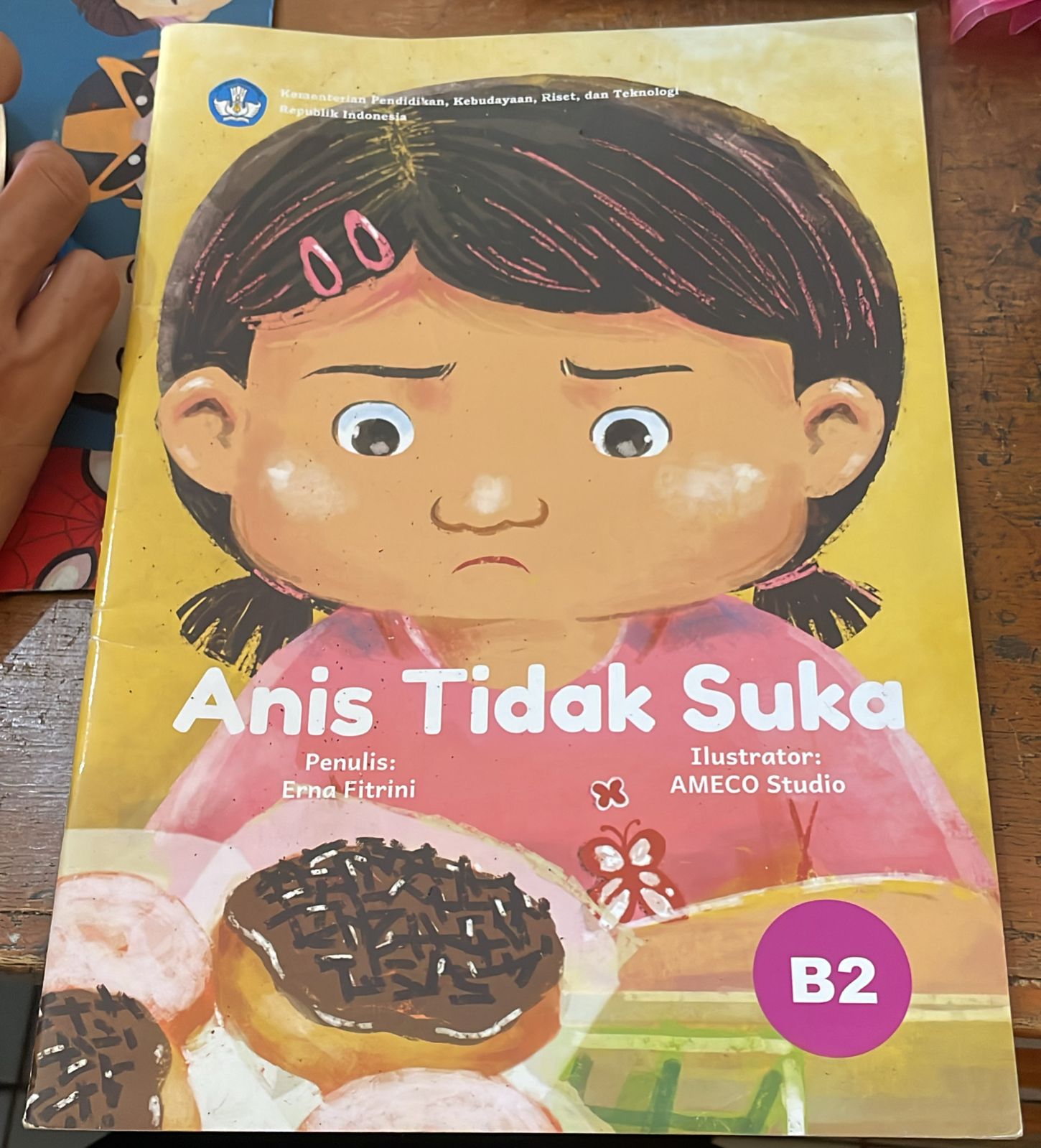 Sampul Anis Tidak suka