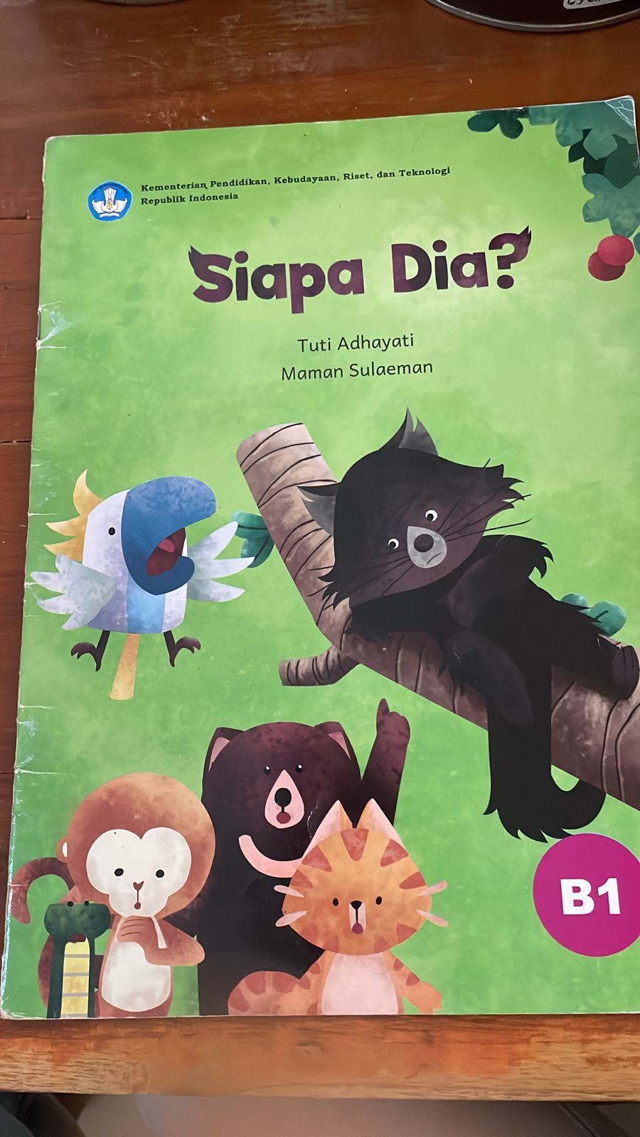 Sampul Siapa Dia?