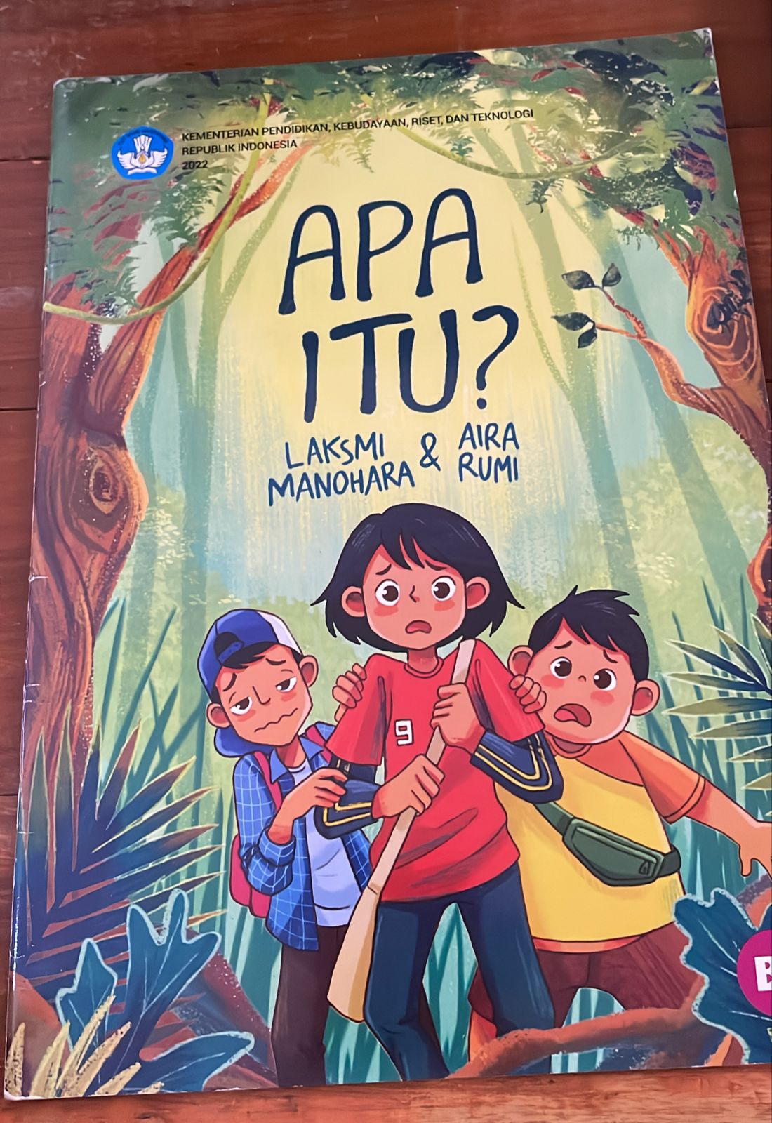 Sampul APA ITU?