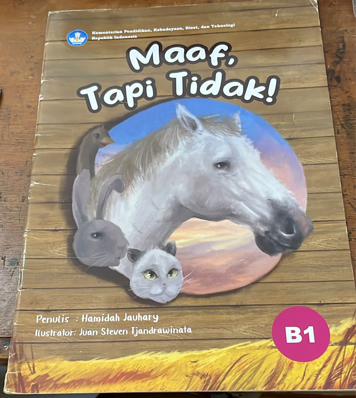 Sampul Maaf, Tapi Tidak !