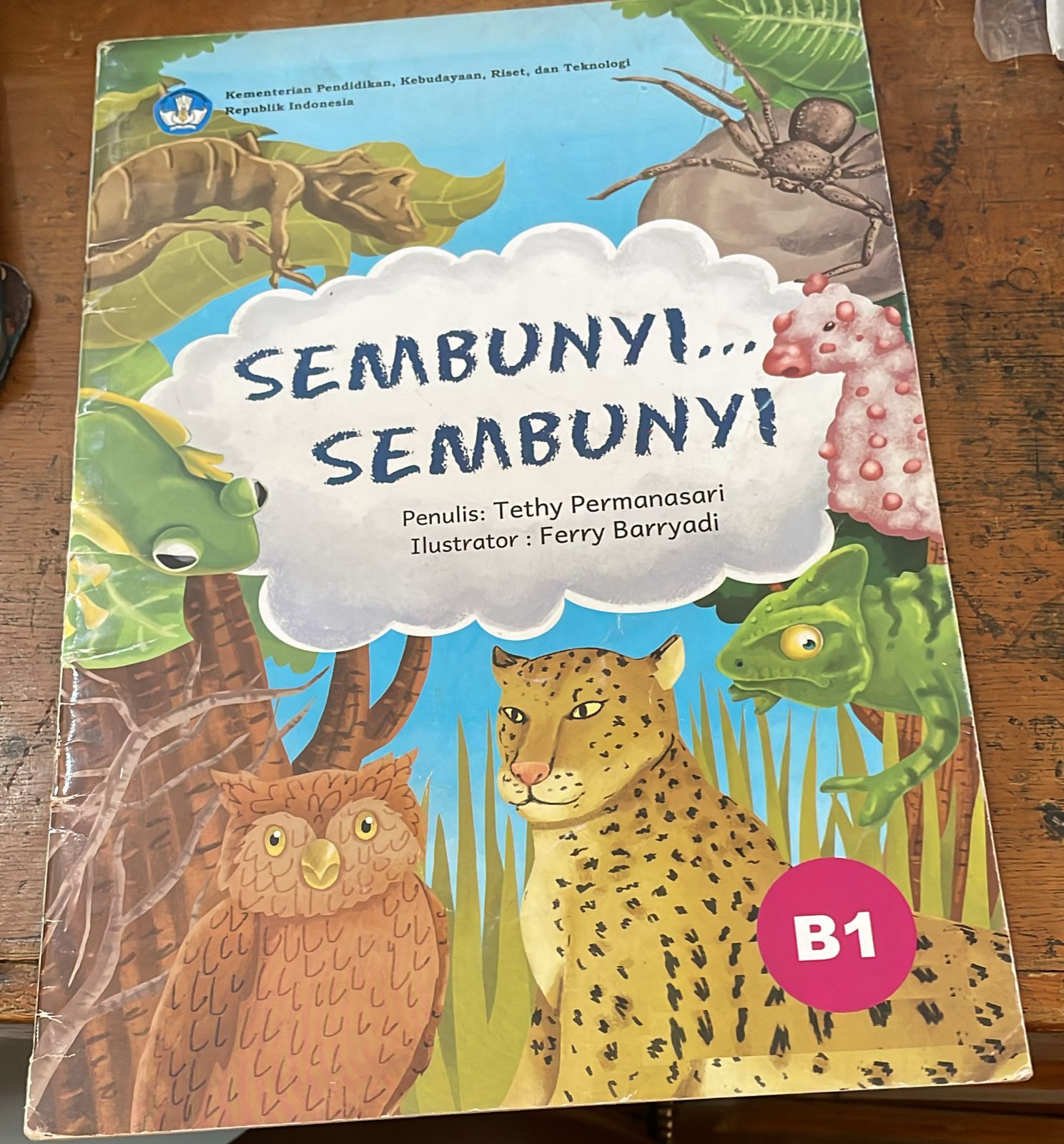 Sampul Sembunyi.. Sembunyi